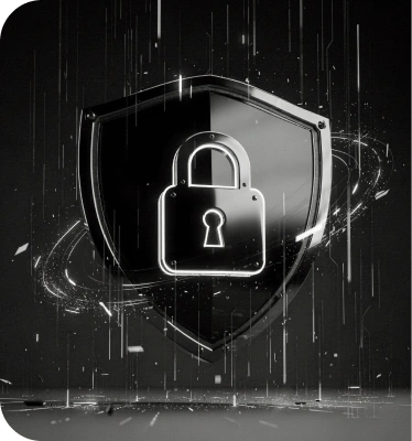 Data Privacy Shield